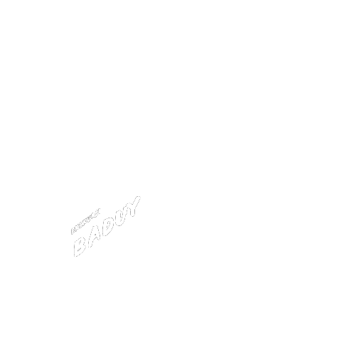 Partner 18
